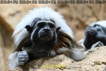  (Bild: Natalia Siedler)