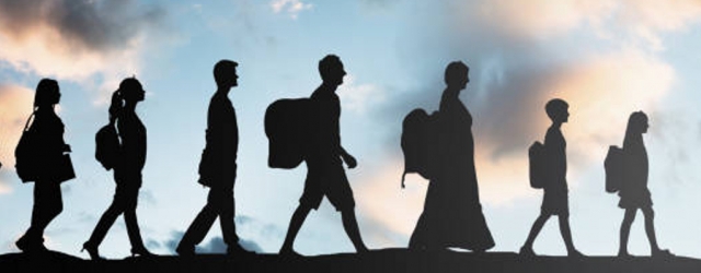 Migration