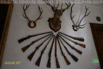 Jagdwaffen und Geweihe erinnern an eine wichtige Tradition des europäischen Adels. (Bild: Natalia Siedler)