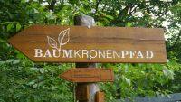 Der Baumkronenpfad Hainich