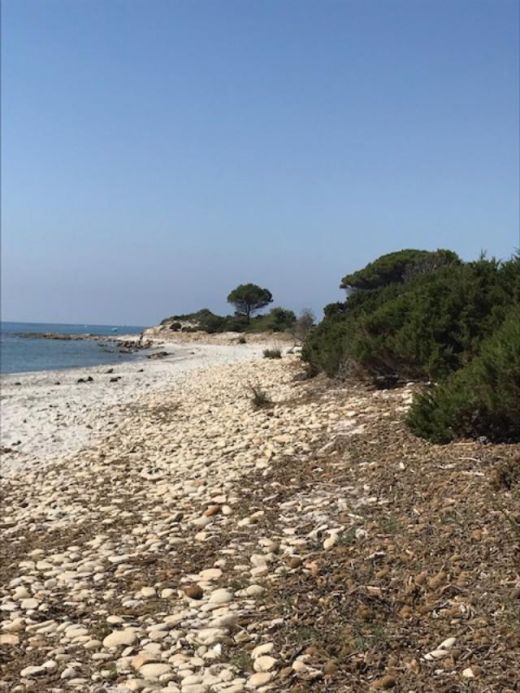 man kann dort mediterrane Macchia, heimische Pinien, Eukalyptusbäume, Korkeichen, Zwergpalmen und natürlich den lokalen Wacholder vorfinden