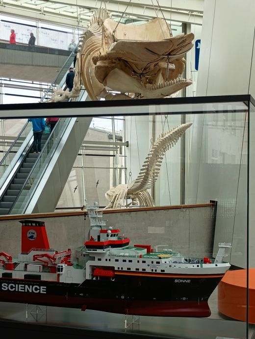 Ozeaneum